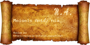 Meisels Antónia névjegykártya